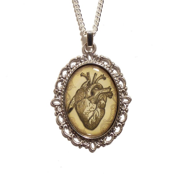 Collier coeur pendentif anatomique - camée gothique romantique amour gothique victorien Halloween anatomie taxidermie