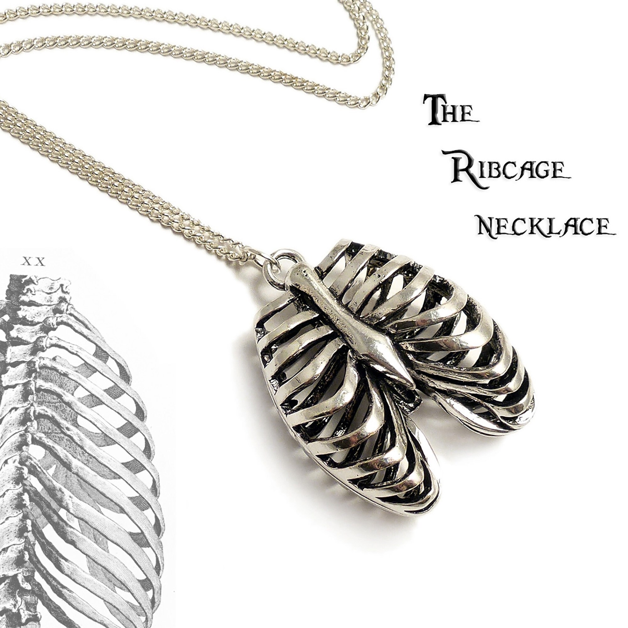 Gothic Rib Cage Necklace Anatomical Ribcage Silver Skeleton - Goth ...