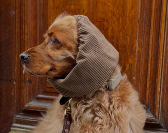 Könnte beinhalten: Ein goldbrauner Cocker Spaniel mit einem braunen Kord-Snood um Kopf und Hals. Der Hund hat langes, fließendes Fell und ist an einer dünnen braunen Lederleine mit einem messingfarbenen Metallkarabiner befestigt und sitzt im Profil.