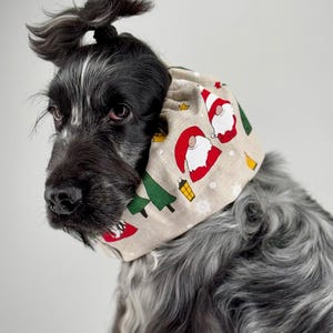 Può includere: Un cane bianco e nero con una bandana a tema natalizio intorno al collo. La bandana ha uno sfondo beige con illustrazioni rosse e verdi di alberi di Natale e Babbo Natale.