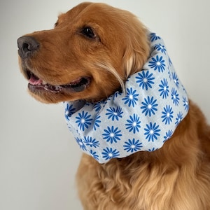 Englisch cocker spaniel halsband - Etsy.de