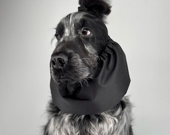 Lichtgewicht, waterdichte en duurzame muts voor Cavalier King Charles Spaniels, Engelse en Amerikaanse Cocker Spaniels - oor- en nekbescherming, beschermende muts voor honden
