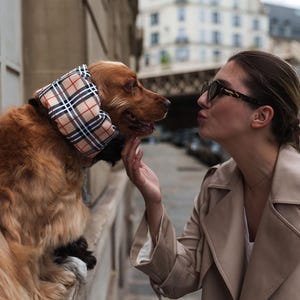 BESTSELLER Waterproof Snood Beige Tartan Lightweight Resistant Spaniel Cavalier King Charles English American Cocker Ear Spikelet Protection image 2