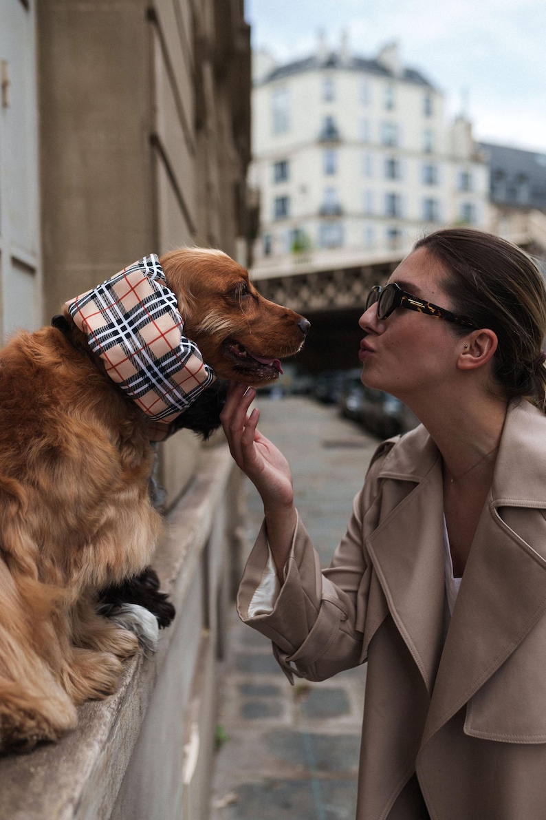 BESTSELLER Waterproof Snood Beige Tartan Lightweight Resistant Spaniel Cavalier King Charles English American Cocker Ear Spikelet Protection image 2