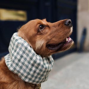 BESTSELLER Linen Snood Lightweight Breathable for Cocker Spaniels Cavaliers Ear Spikelet Protection Snood per Cani Cuello para Perros image 1