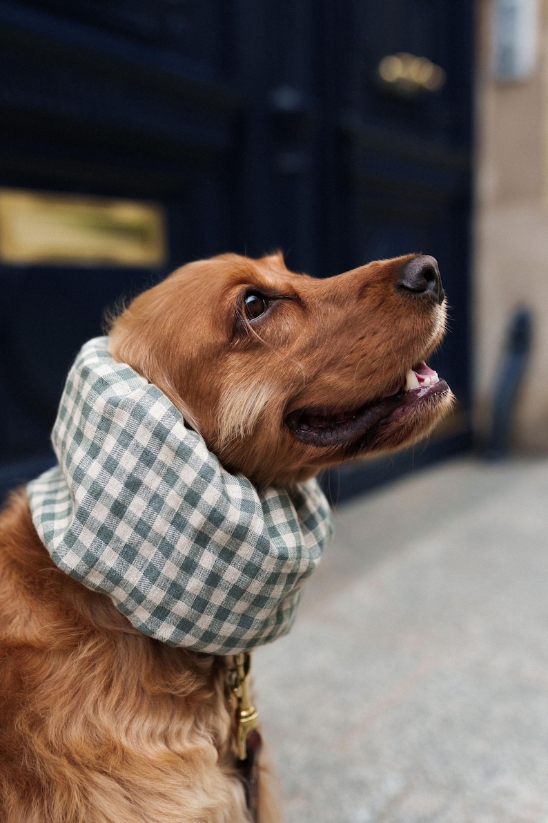 BESTSELLER Linen Snood Lightweight Breathable for Cocker Spaniels Cavaliers Ear Spikelet Protection Snood per Cani Cuello para Perros image 1