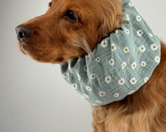 Cotton Snood for Dogs Soft Lightweight Breathable for Cocker Spaniels Cavaliers Ear Spikelets Protection Snood per Cani Cuello para Perros