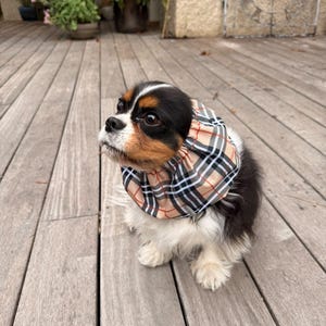 BESTSELLER Waterproof Snood Beige Tartan Lightweight Resistant Spaniel Cavalier King Charles English American Cocker Ear Spikelet Protection image 4