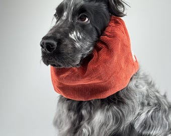 Snood Ear Warmer in Velvet Velours Chic & Elegant, Spaniel Cavalier King Charles English Cocker Ear Spikelet Protection Snood per Cani