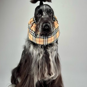 BESTSELLER Waterproof Snood Beige Tartan Lightweight Resistant Spaniel Cavalier King Charles English American Cocker Ear Spikelet Protection image 7