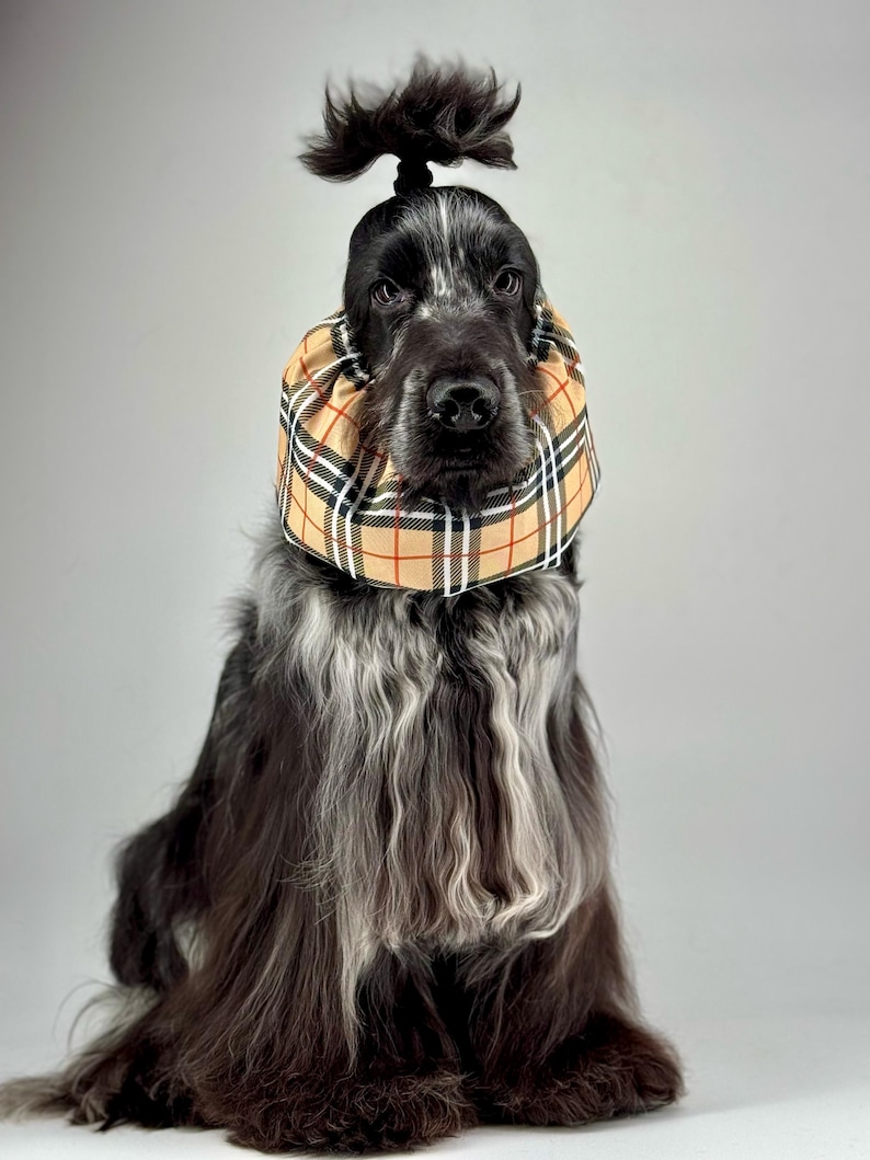 BESTSELLER Waterproof Snood Beige Tartan Lightweight Resistant Spaniel Cavalier King Charles English American Cocker Ear Spikelet Protection image 7