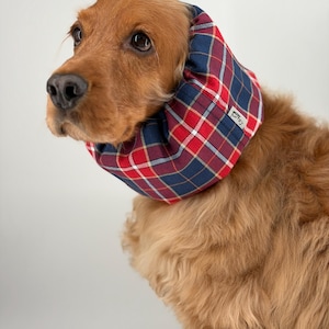 Peut inclure: Un chien portant une snood en tissu à carreaux rouge, bleu marine et blanc autour du cou et des oreilles. L'accessoire comporte une petite étiquette en tissu blanc rectangulaire avec le texte "Lutoy" imprimé en noir sur le côté.