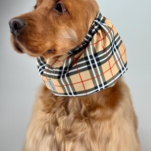 May include: A golden retriever dog wearing a beige, black, and red plaid fabric dog collar.