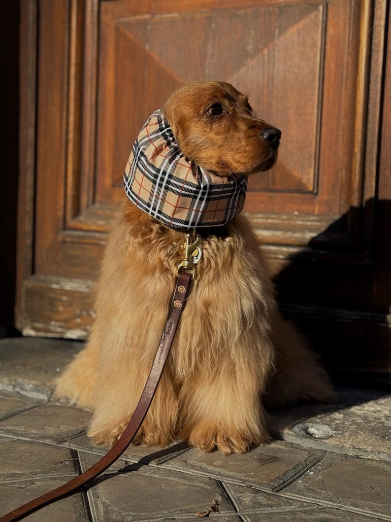 BESTSELLER Waterproof Snood Beige Tartan Lightweight Resistant Spaniel Cavalier King Charles English American Cocker Ear Spikelet Protection image 1