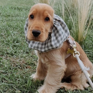 BESTSELLER Linen Snood Lightweight Breathable for Cocker Spaniels Cavaliers Ear Spikelet Protection Snood per Cani Cuello para Perros image 3