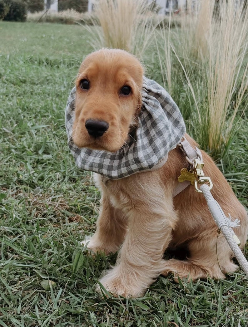 BESTSELLER Linen Snood Lightweight Breathable for Cocker Spaniels Cavaliers Ear Spikelet Protection Snood per Cani Cuello para Perros image 3
