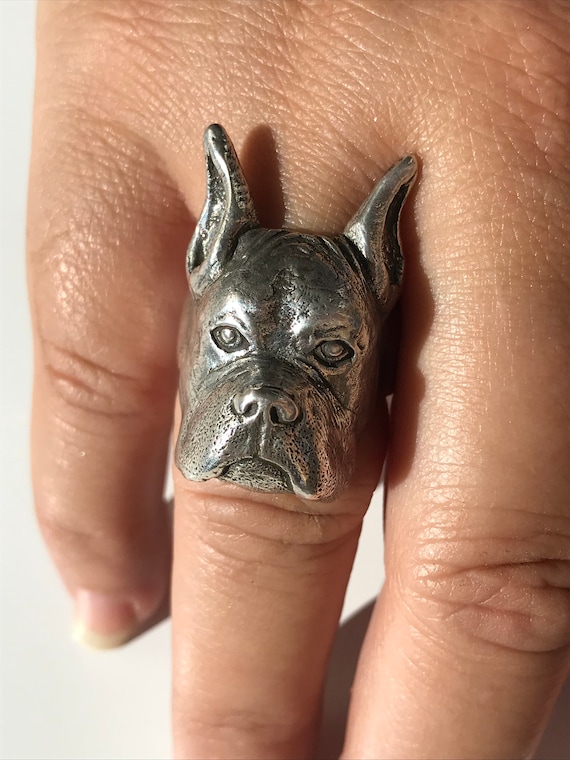 boxer dog ring