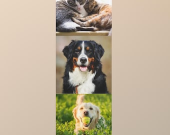 Custom Yoga Mat, Personalized Yoga Mat, Custom Pet Yoga Mat, Gym Gifts, Photo Fitness Mat Yoga, Exercise Equipment,