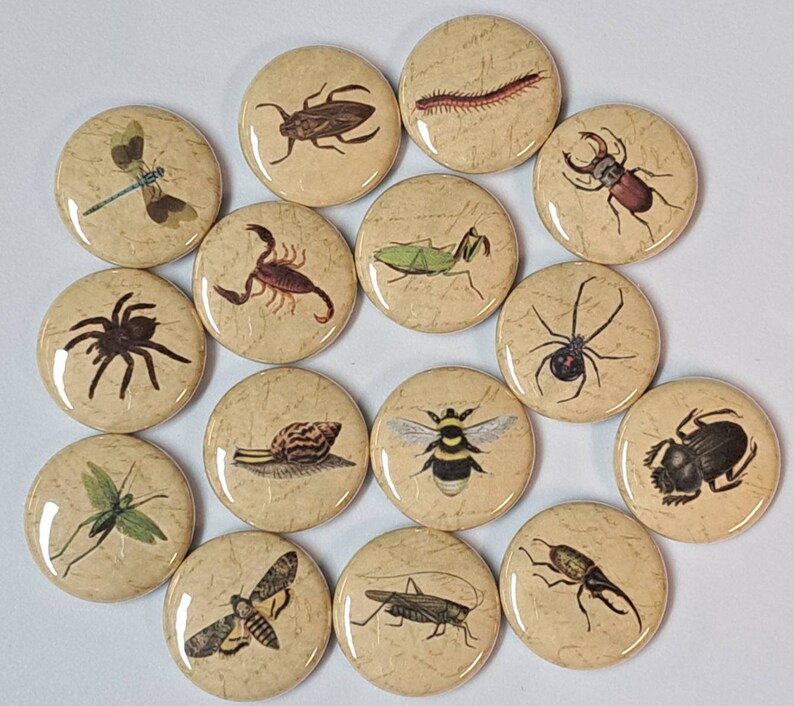 Insects and Creepy Crawlies Illustrations on Antique Background 1 Inch Pinback Buttons Set of Six 6 image 2