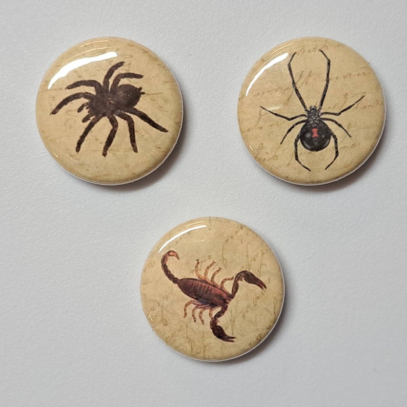 Insects and Creepy Crawlies Illustrations on Antique Background 1 Inch Pinback Buttons Set of Six 6 image 4