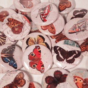 Vintage Colorful Butterfly Ephemera Drawings 1 Inch Pinback Buttons Set of Six 6 image 2