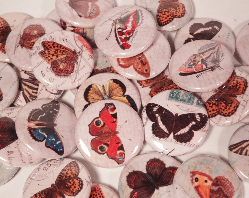 Vintage Colorful Butterfly Ephemera Drawings 1 Inch Pinback Buttons Set of Six 6 image 2