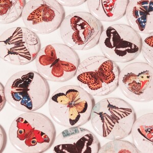 Vintage Colorful Butterfly Ephemera Drawings 1 Inch Pinback Buttons Set of Six 6 image 1