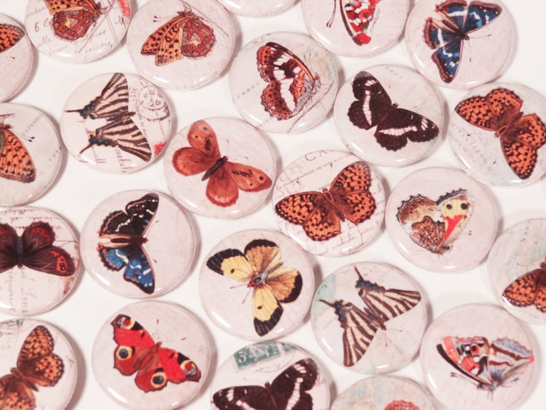 Vintage Colorful Butterfly Ephemera Drawings 1 Inch Pinback Buttons Set of Six 6 image 1