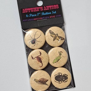 Insects and Creepy Crawlies Illustrations on Antique Background 1 Inch Pinback Buttons Set of Six 6 image 7