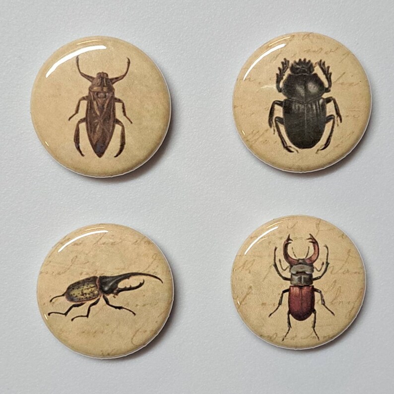 Insects and Creepy Crawlies Illustrations on Antique Background 1 Inch Pinback Buttons Set of Six 6 image 5