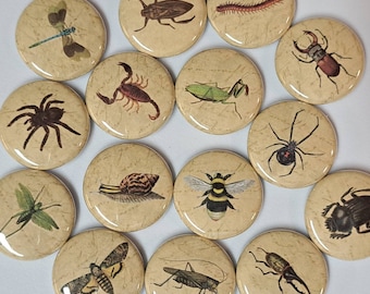 Insects and Creepy Crawlies Illustrations on Antique Background 1 Inch Pinback Buttons - Set of Six (6)