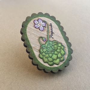 Carnivorous Botanical Wooden Pins– Pinguicula (Butterwort)