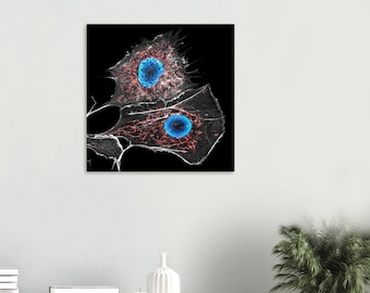 The Inner of the Cell - Microscopy Recording  - Wall Art - Foam Print