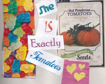 She Is Exactly Tomatoes: A Duolingo Cut-Up Poetry Zine