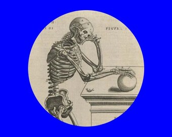 May include: A black and white anatomical illustration of a skeleton sitting with its chin resting on its hand, looking thoughtfully at a sphere. The skeleton is labeled with anatomical terms. The text "FIGURE I" is visible in the upper right corner of the image.
