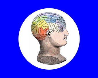 Phrenology model button