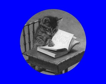 Reading kitten button