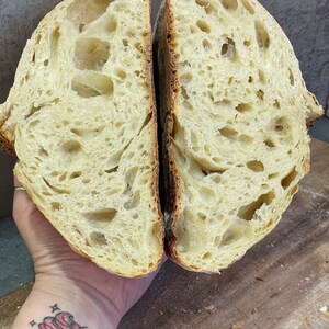 Photo of a baker holding a freshly baked sourdough loaf, sliced open to showcase the wild, airy crumb structure. Perfectly fermented bread with a golden crust, highlighting the art of homemade sourdough baking.