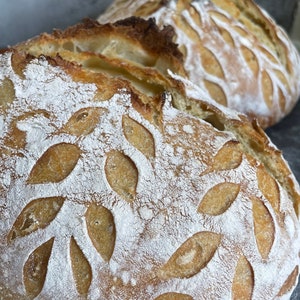 Pu&ograve; includere: Due pagnotte di pane appena sfornate con un motivo a foglie sulla crosta. Il pane &egrave; dorato e ha una consistenza leggermente croccante.