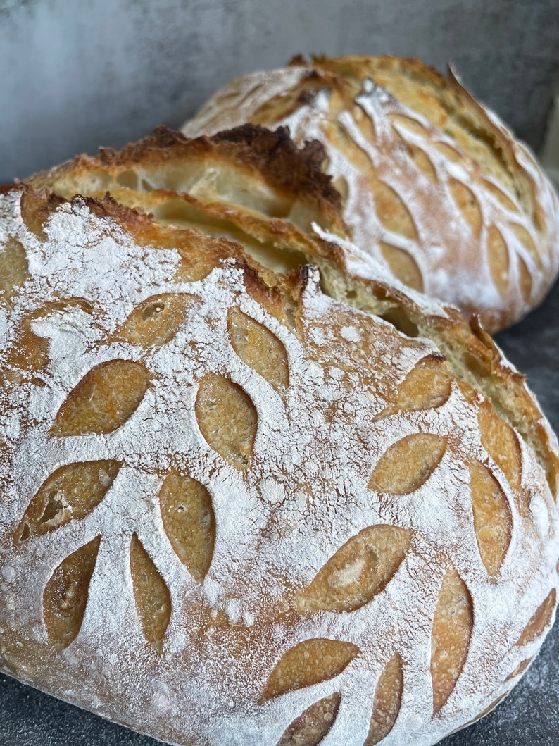 Pu&ograve; includere: Due pagnotte di pane appena sfornate con un motivo a foglie sulla crosta. Il pane &egrave; dorato e ha una consistenza leggermente croccante.