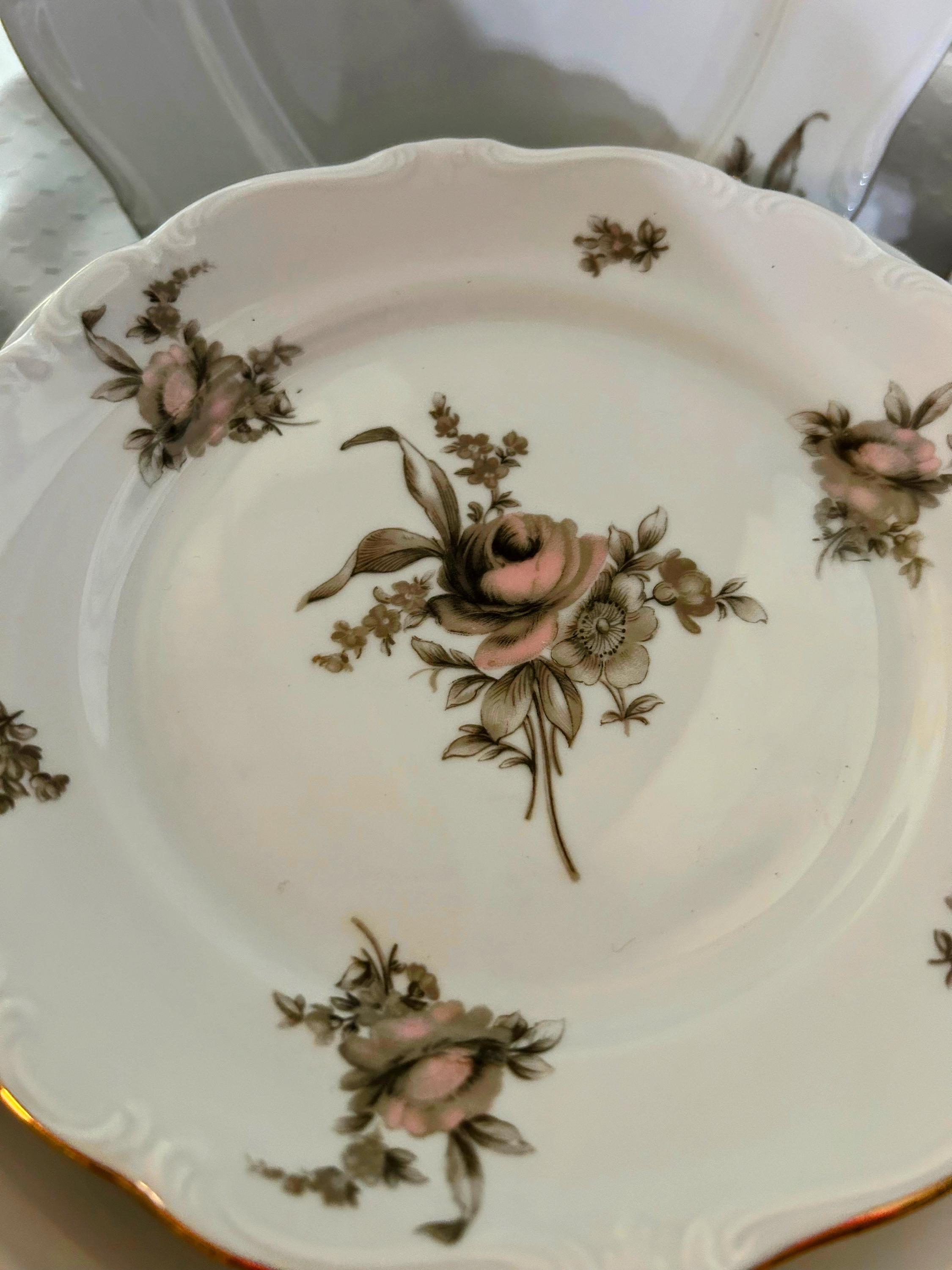 Vintage Johann Haviland “sepia Rose” Dinnerware Set - Etsy