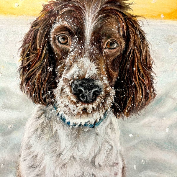 Custom Pet Portrait | Hand Drawn Pet Commission | Personalized pet artwork | Pet Lover Gift | Dog Art | Custom Dog Portrait | Hand-drawn art