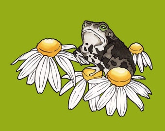 Daisy Toad Print