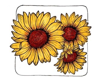 Stampa Girasoli