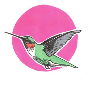 Hummingbird Print