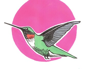Stampa colibrì