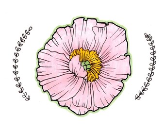 Peonia rosa tenue