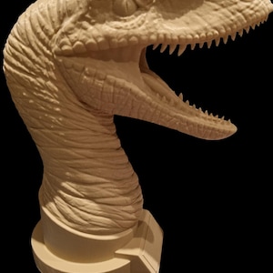 raptor bust