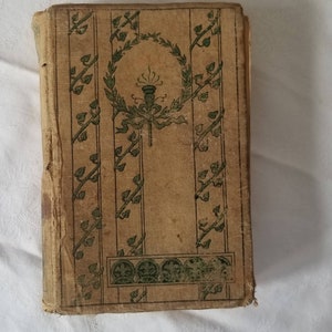 The Children of the Abbey by Regina Maria Roche, 1880's Books, Vintage Literature, Vintage Fiction, Antique Book