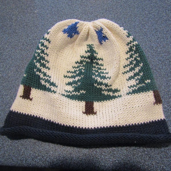 Sierra's Attic State of Maine flag pine tree star cotton roll hat cap  beanie baby toddler child young adult & adult sizes Maine theme gifts